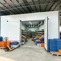 Chambre froide commerciale Bitzer pour viande, légumes et fruits de mer – Unité de réfrigération et de congélation pour entrepôt frigorifique – Vente en gros directe usine