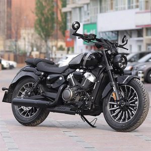 Motocicleta Cruiser Benda Gray Stone 300cc, Motor V-Twin de 2 Cilindros Refrigerado por Agua, Modelo Retro GW250-D de China Continental, 160 km/h, <span class=keywords><strong>250</strong></span> - Product Image 2
