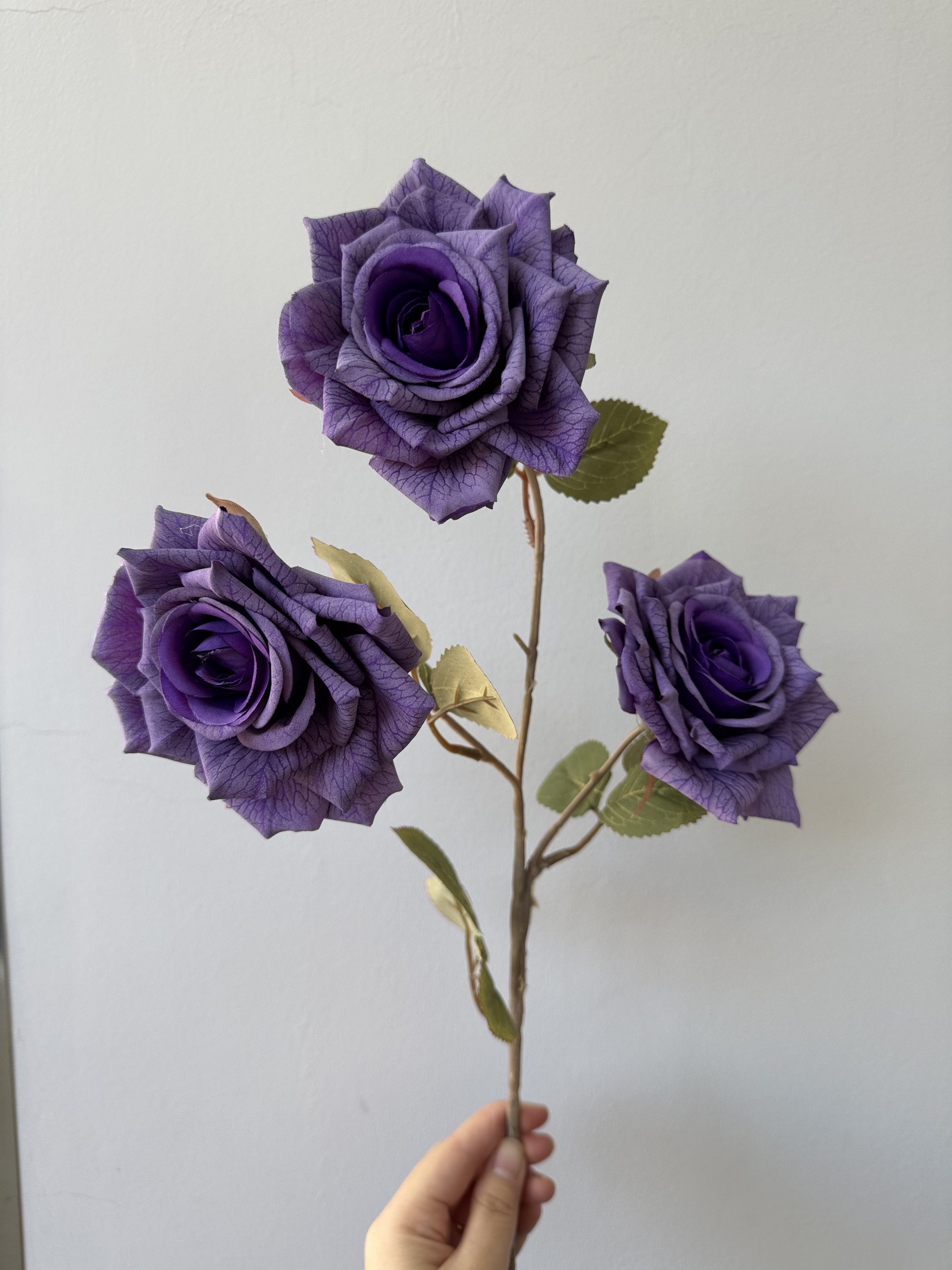 #15 viola scuro