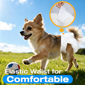 Disposable Pull up Female Dog <b>Diapers</b>, 360° Stretchy Waist Puppy <b>Diapers</b>, Super-Absorbent <b>Diapers</b> in Heat <b>Period</b>, M 10 Pcs - Product Image 2