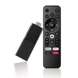 Hot TV stick 2,4g control remoto Android 10 ATV netf 4K USB TV stick