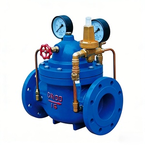 Reducteur de type principal 200X avec raccord à bride à joint souple pour l'alimentation en eau de circulation industrielle - Product Image 1