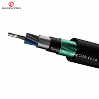 Câble à fibre optique Hao Cheng GYTA53 monomode G652D/G655, blindage en ruban d'acier enterré, entièrement étanche