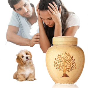 Modern Çevre Dostu Ahşap Küçük Kare Anma Köpek Urn'u, Köpekler İçin Kullanışlı Mühürlü Külleri Saklama Kutusu - Product Image 1