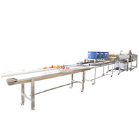 Fabriek Automatische Inductie Fruit Roll Up Schrapen Vormen Maken Verwerkingsmachine Fruit Leder Productielijn