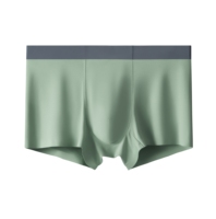 Sous-Vêtements Homme X en Fibre de Bambou Naturelle de Haute Qualité, Respirants et Antibactériens, Boxers Tendance – Stock Usine Chinoise