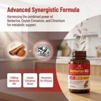 Qbioflex Factory Direct Capsules de Berbérine HCI avec Cannelle de Ceylan et Chrome pour Renforcer le Système Immunitaire