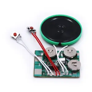 Long Recording Variable Movement Double Button Sound Recording Module for Greeting Cards