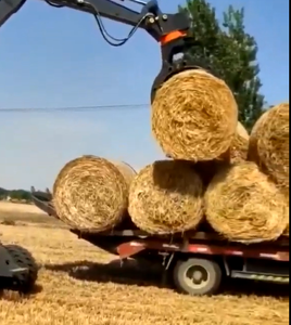 Godet à grappin rotatif WYJ100Z pour excavatrice de 5 à 9 tonnes avec grappins rotatifs hydrauliques à 360 degrés - Product Image 4