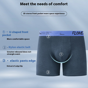 Wholesale Men's Large Size <b>Boxer</b> Briefs Breathable No Fly Pouch Sport Underwear with Logo on Waist for Fat Men with Long Legs - Product Image 2