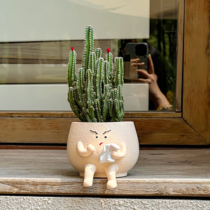 Jardinière <span class=keywords><strong>de</strong></span> succulentes en forme <span class=keywords><strong>de</strong></span> méchant <span class=keywords><strong>de</strong></span> dessin animé écologique en résine enduite d'époxy légère durable pour créatif et intéressant - Product Image 6