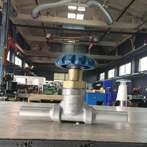 Válvula de cierre manual criogénica Airmass DJ15AP DN15 para GLP/LO2 de temperatura media, para cilindros de gas DJ-15AP, cierre criogénico para Ta - Product Image 1