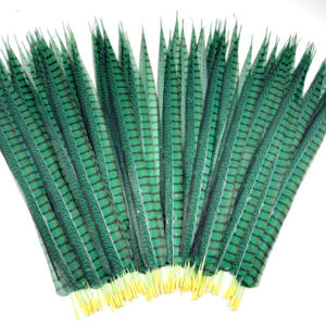 Buatan tangan dicelup wanita buatan Amherst Pheasant ekor bulu pola mentah alami untuk penggunaan dekoratif dalam kostum pesta karnaval - Product Image 5