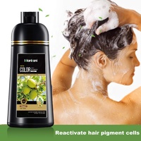 Shampoo colorant capillaire noir instantané à l'huile d'argan biologique OEM, liquide, 420 ml, permanent