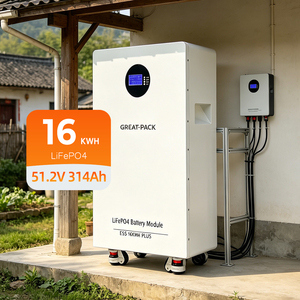 Battery <b>Energy</b> <b>Storage</b> 16kwh 51.2v 314ah Lithium Ion Battery Pack Floor Standing Home Solar <b>Energy</b> <b>Storage</b> <b>System</b> - Product Image 1