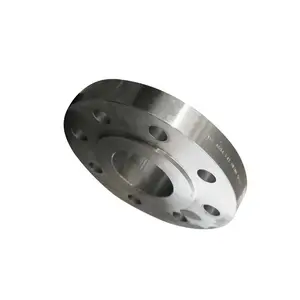 ANSI 304 304L 316 316L Stainless Steel Forged RF Rasied Face Blind Flange