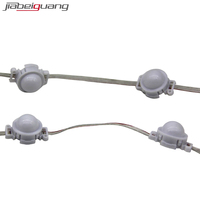 Module LED Pixel Étanche IP68 en Plastique pour Décoration Extérieure Permanente en Guirlande