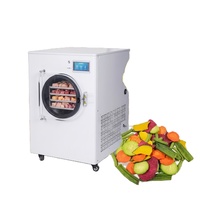 Huis-tuin-en-keuken mini-vriesdroger - Kleine lyofilisator voor het vriesdrogen van fruit, groenten, vlees en kruiden