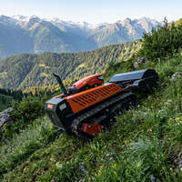 Broyeur à fléaux télécommandé diesel 4 temps 420cc de qualité industrielle pour applications agricoles