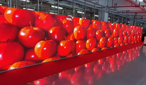 Système de panneaux vidéo LED étanches P3.91 pour magasins de détail, éducation, location intérieure/extérieure, exposition, animation, haute résolution - Product Image 3