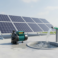 Pompe à eau solaire photovoltaïque centrifuge de surface auto-amorçante haute puissance grand débit avec garantie 1 an