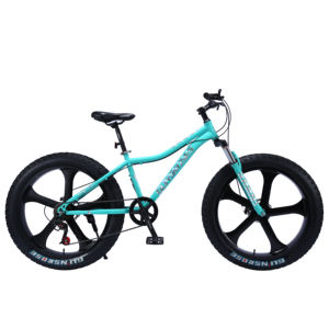 VTT 26 pouces, cadre en acier, frein à disque, suspension avant, vélo de montagne, vélo gras, vélo de neige pour hommes et femmes - Product Image 3