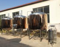 Technologie allemande 300L 500L Micro Brasserie Équipement de fermentation pour le brassage de bière à petite échelle