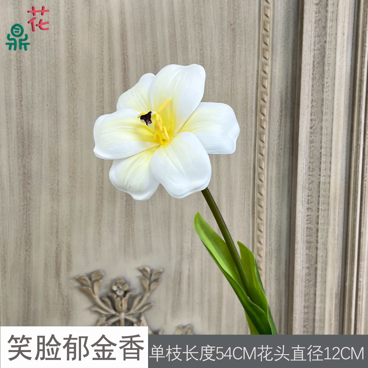 Tulipe Smiley (Blanc)