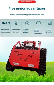 เครื่องตัดหญ้าอุตสาหกรรมขนาดเล็ก 1600W รุ่นขายดีที่สุด ควบคุมด้วยรีโมท ใช้พลังงาน 24V สำหรับฟาร์ม ตัดหญ้าและใบไม้ พร้อมเครื่องยนต์ 196cc รุ่น Ymn21 - Product Image 4