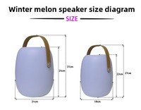 Speaker Lamp Portabel Tahan Air 5.3 untuk Hotel, Camping Outdoor - Sistem Suara LED RGB Nirkabel dengan Remote Kontrol USB