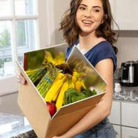 Glacière réutilisable pour aliments congelés Boîte d'expédition isotherme en aluminium grand carton isotherme isolé Emballage d'expédition pour fruits