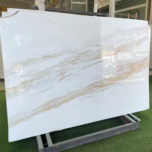 TMZ OEM/ODM Marmore 도매 바닥 타일 600x600 대리석 아리스티드 골드 정맥 대리석 광택 대리석 타일 바닥과 벽
