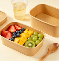 Boîtes alimentaires jetables rectangulaires en papier kraft compostable et bols à salade pour le camping, les pique-niques et l'emballage de fruits – Approvisionnement direct usine