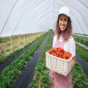 Malla de Cobertura para Jardín, Biodegradable, Control de Plantas, Cubierta para el Suelo, Malla Antihierbas, Cubierta para el Suelo <span class=keywords><strong>vw</strong></span> <span class=keywords><strong>Caddy</strong></span> - Product Image 6