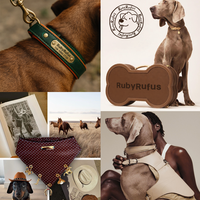 Ensemble Harnais, Collier et Laisse pour Chien Personnalisé Haut de Gamme OEM ODM – Matériaux Personnalisables, Couleurs Variées, Tissu Nylon, Cuir – Fabricant Marque Privée