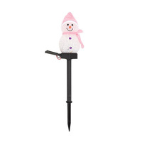 Lampe solaire LED pour extérieur, fabriquée en usine OEM, décorative, étanche, pour jardin et pelouse, logo personnalisé accepté, conforme aux normes CE et RoHS