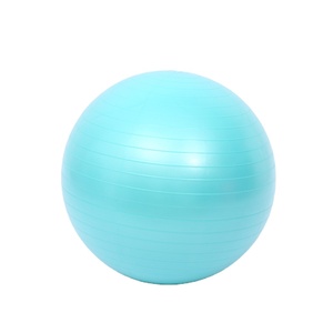 Anti Burst Balans Oefening Bal Aangepaste 45Cm 55Cm 65 Cm Met Handpomp Gym Yoga Bal