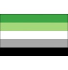 15Aromantic Flag