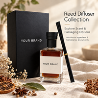 Diffuseur de parfum à bâtonnets 500 ml, parfum longue durée, flacon en verre noir avec bâtonnets pour la maison et l'hôtel