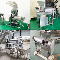 Industriële Ananas-Sap-Extractor-Machine Extractors Sap Extractor Granaatappelsap Voor Amerika Uit