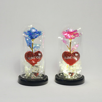 Idées de cadeaux pour la Saint-Valentin 2025 arc-en-ciel coloré illumine la fleur de rose éternelle en verre Doom Gift