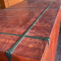 Contrachapado Fenólico Impermeable WBP con Película Negra/Marrón de 12/15/18mm para Encofrados de Construcción en Obras de Hormigón