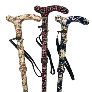 Canne de marche en argent - Product Image 1