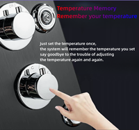 Colonne de douche moderne en acier inoxydable avec LED, finition nickel brossé noir, 5 jets de massage, pour OEM/ODM