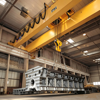 Grue à double poutre à fréquence variable avec suppression des oscillations et positionnement de haute précision