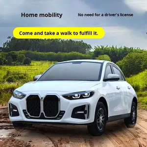 Vehículo eléctrico de cuatro ruedas de nueva energía de lujo para uso doméstico eléctrico de doble gas (<span class=keywords><strong>mujeres</strong></span> adultas) nuevo modelo de coche con batería para - Product Image 3