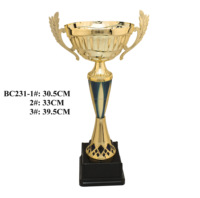Offre Spéciale – Trophée Étoile Métallique Personnalisé de Luxe Gravé, Impression Letterpress, pour Baseball, Rugby, Basketball – Trophées Sportifs Phoenix