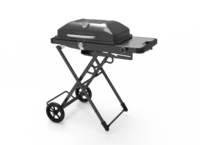 Meilleures ventes : Barbecue à gaz portable réglable sur chariot, avec zone de cuisson surdimensionnée et pliable pour l'extérieur