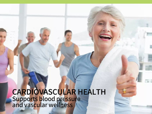 Ubiquinol bột viên nang CoQ10 Gummies thuần chay sức khỏe trái tim năng lượng tăng cường OEM CoQ10 bổ sung Coenzyme Q10 viên nang 200mg - Product Image 6