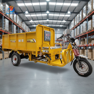 Tricycle cargo électrique multifonctionnel pour adultes, auto-déchargeant, 2 mètres, vente en gros du fabricant - Product Image 5